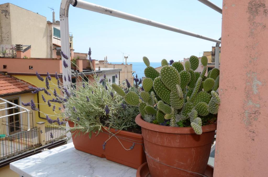 Banchi Hotel Riomaggiore Exterior photo